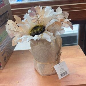 White Sunflower Arrangement